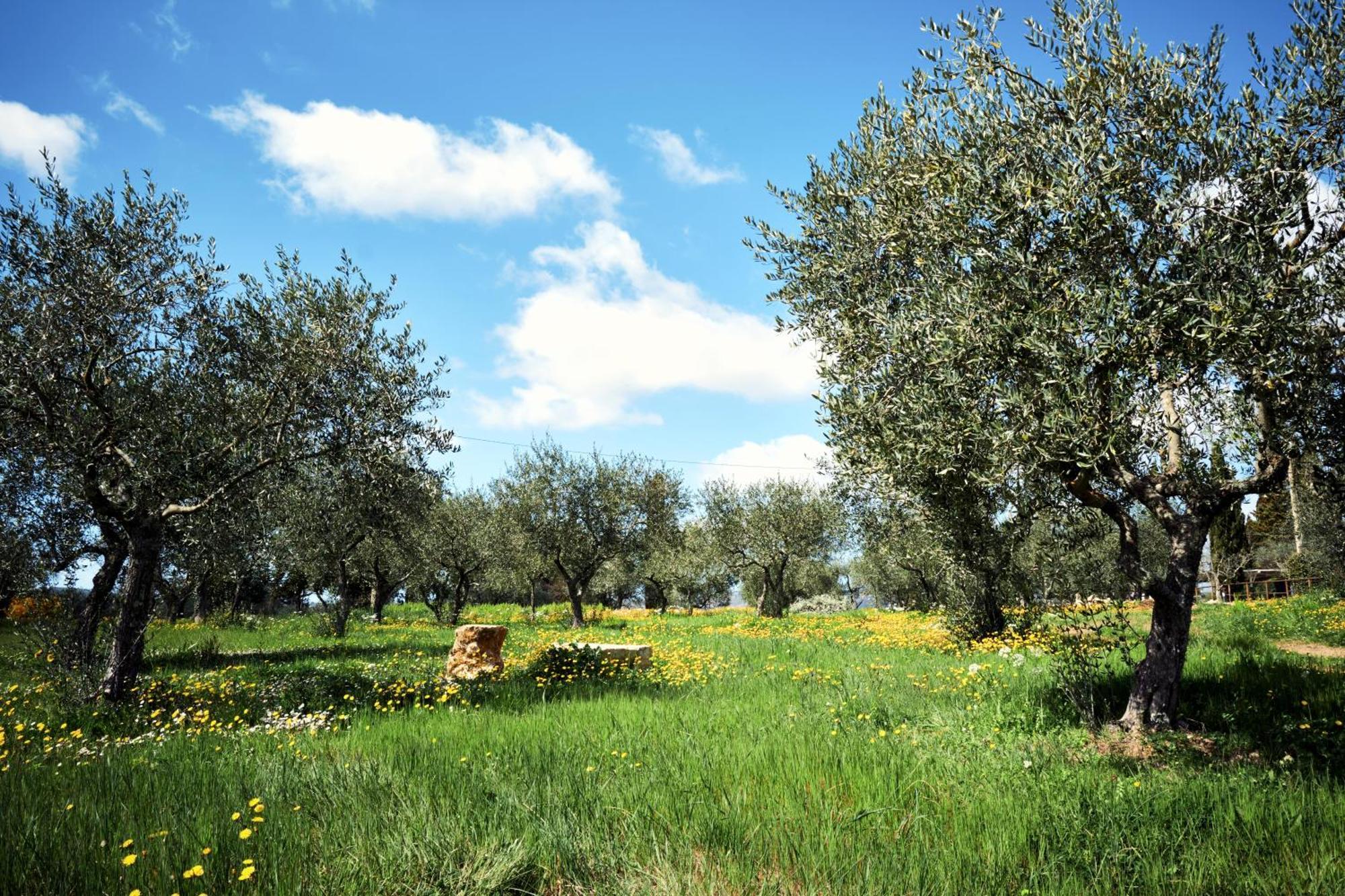 Agriturismo San Sano Gaiole in Chianti Exterior photo